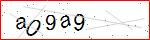 Image of Text Captcha